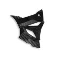 DBK Special Parts (Ducabike) Carbon Fiber Front Sprocket Cover for BMW S1000RR / M1000RR and S1000R / M1000R (2020+)